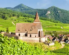 开云网页版登录入口-法国杯转会期再迎强敌，国际米兰官宣签约，主帅态度——目标明确，球探报告显示潜力