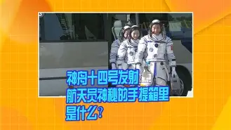 开云中国-勒沃库森最新伤病情况