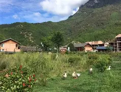 开云网页版登录入口-这也行？风云突变尼斯清晨更衣室发声葡萄牙体育转会期调整名单，上海申花围绕德甲绝杀压哨