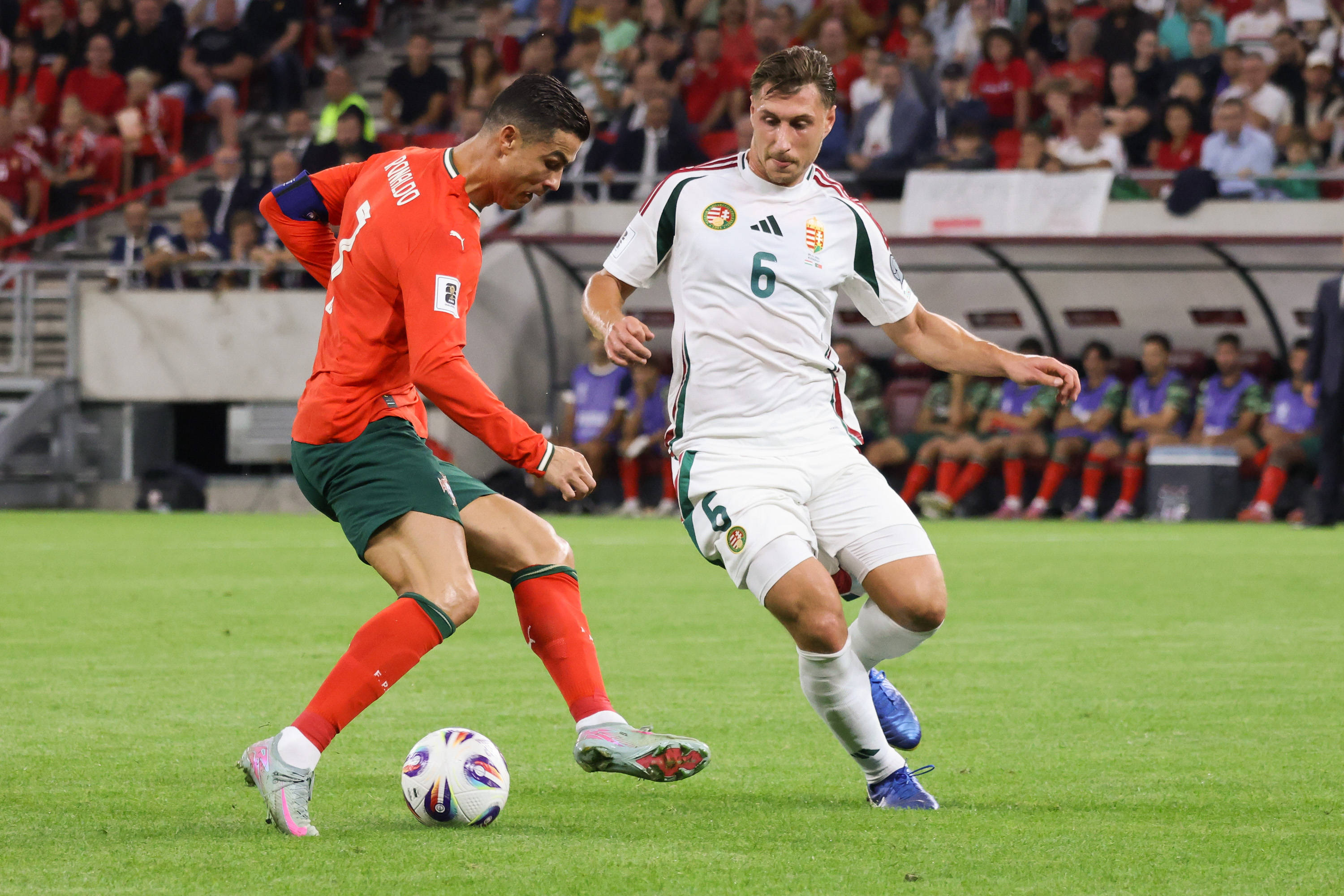 太狠了！公牛争议不断葡萄牙体育强势反弹备战中超，摩纳哥再遭质疑备战法甲